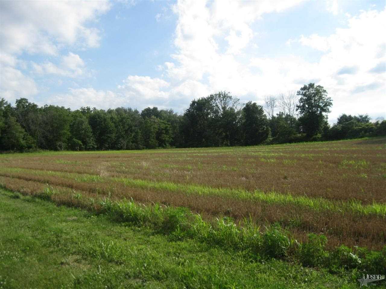 10908 State Road 205, Churubusco, IN 46723 photo 23