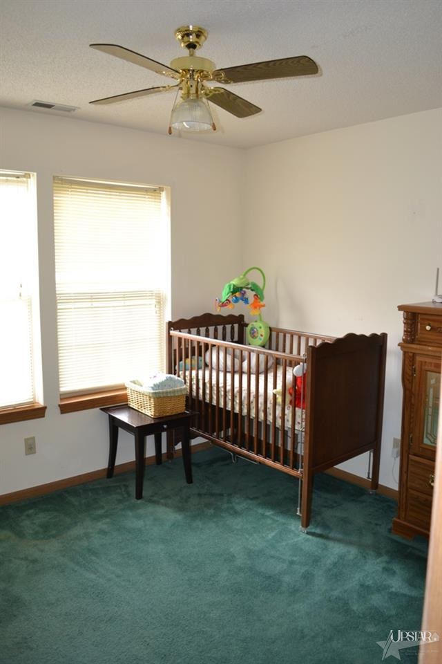 10908 State Road 205, Churubusco, IN 46723 photo 16