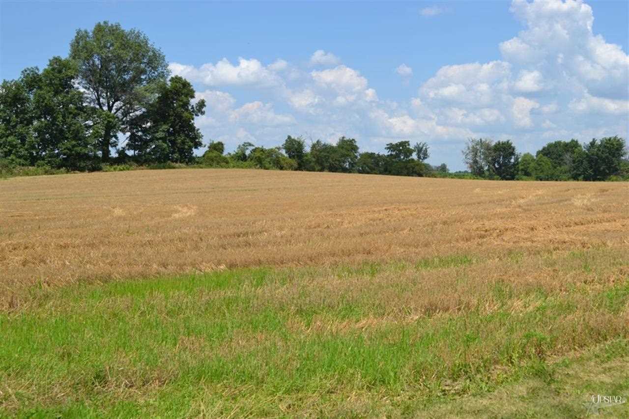 10908 State Road 205, Churubusco, IN 46723 photo 4