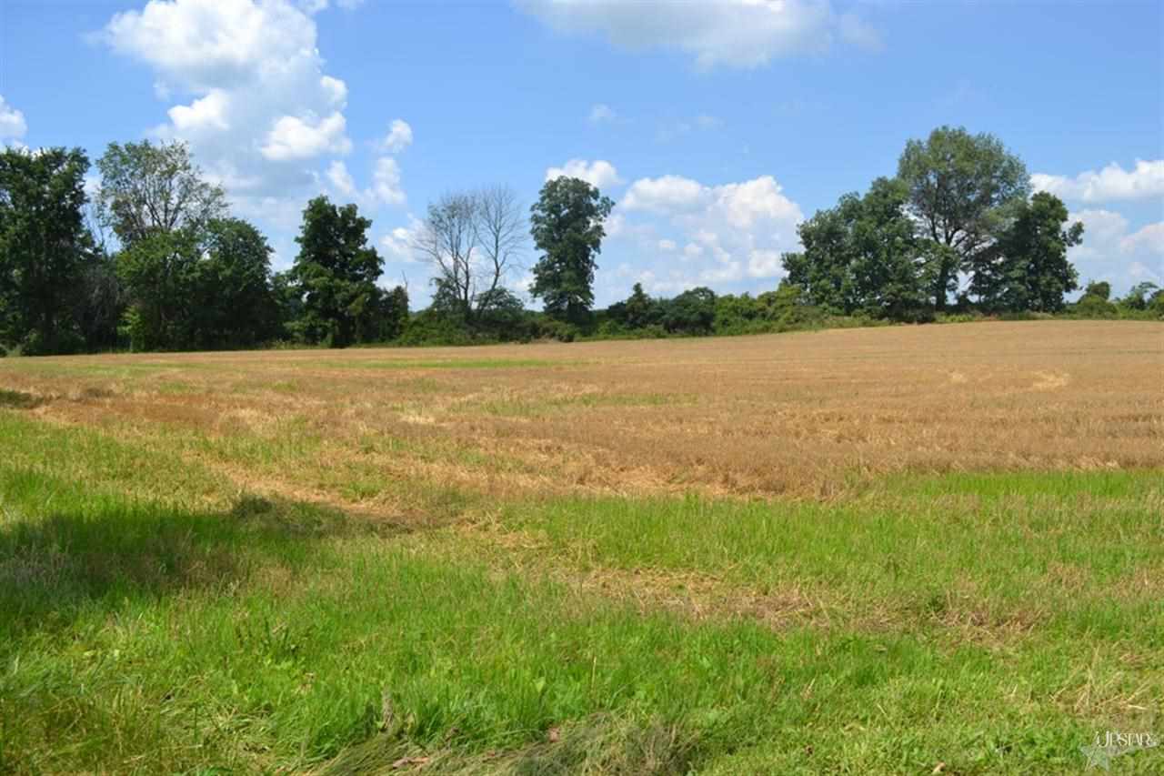 10908 State Road 205, Churubusco, IN 46723 photo 22