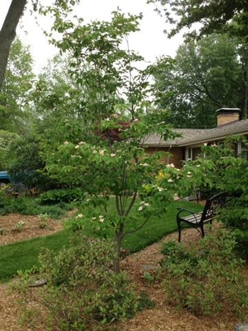 54568 Sundale Pl, Elkhart, IN 46514 photo 29