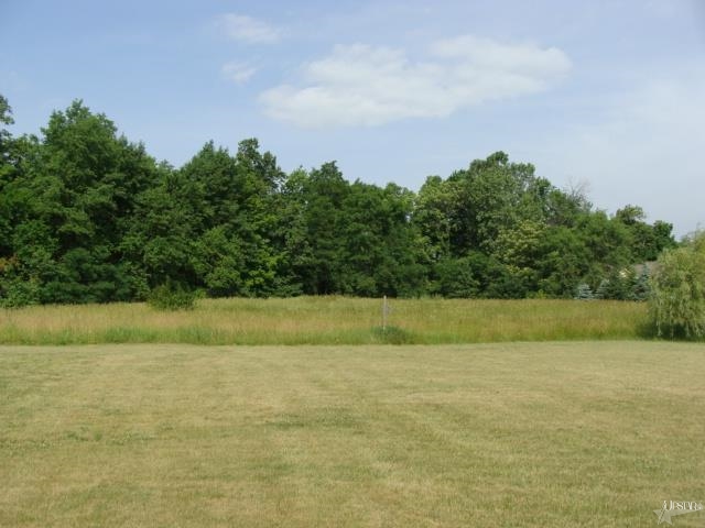 12919 Schwartz Rd, Grabill, IN 46741 photo 30