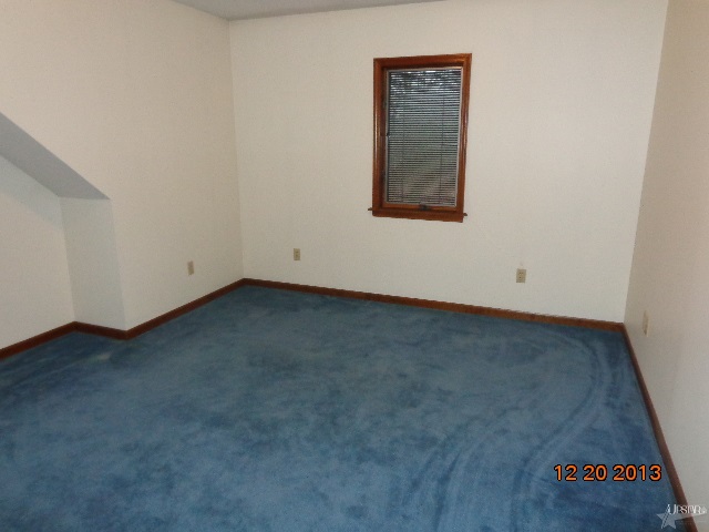 1206 Mill Pond Rd, Berne, IN 46711 photo 20