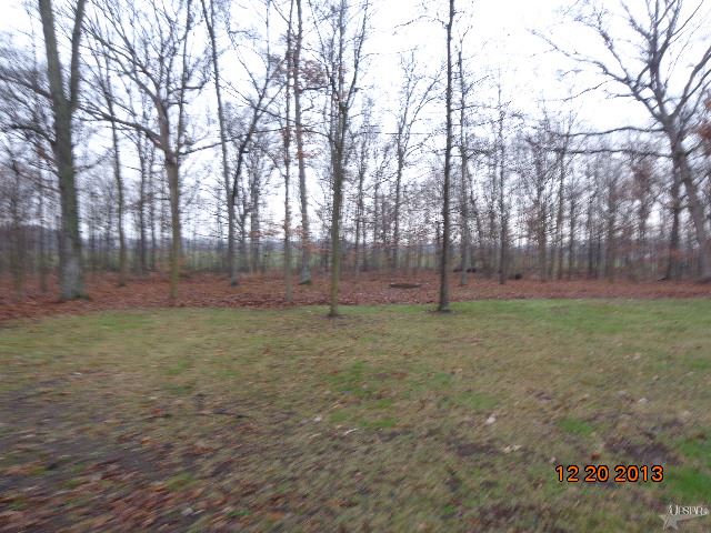 1206 Mill Pond Rd, Berne, IN 46711 photo 4