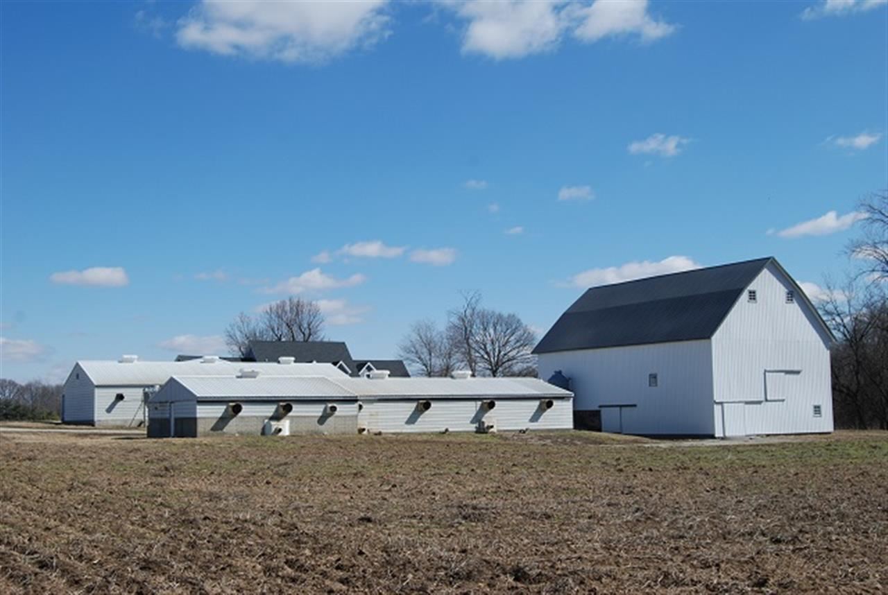 1189 W 700 S, Cutler, IN 46920 photo 5