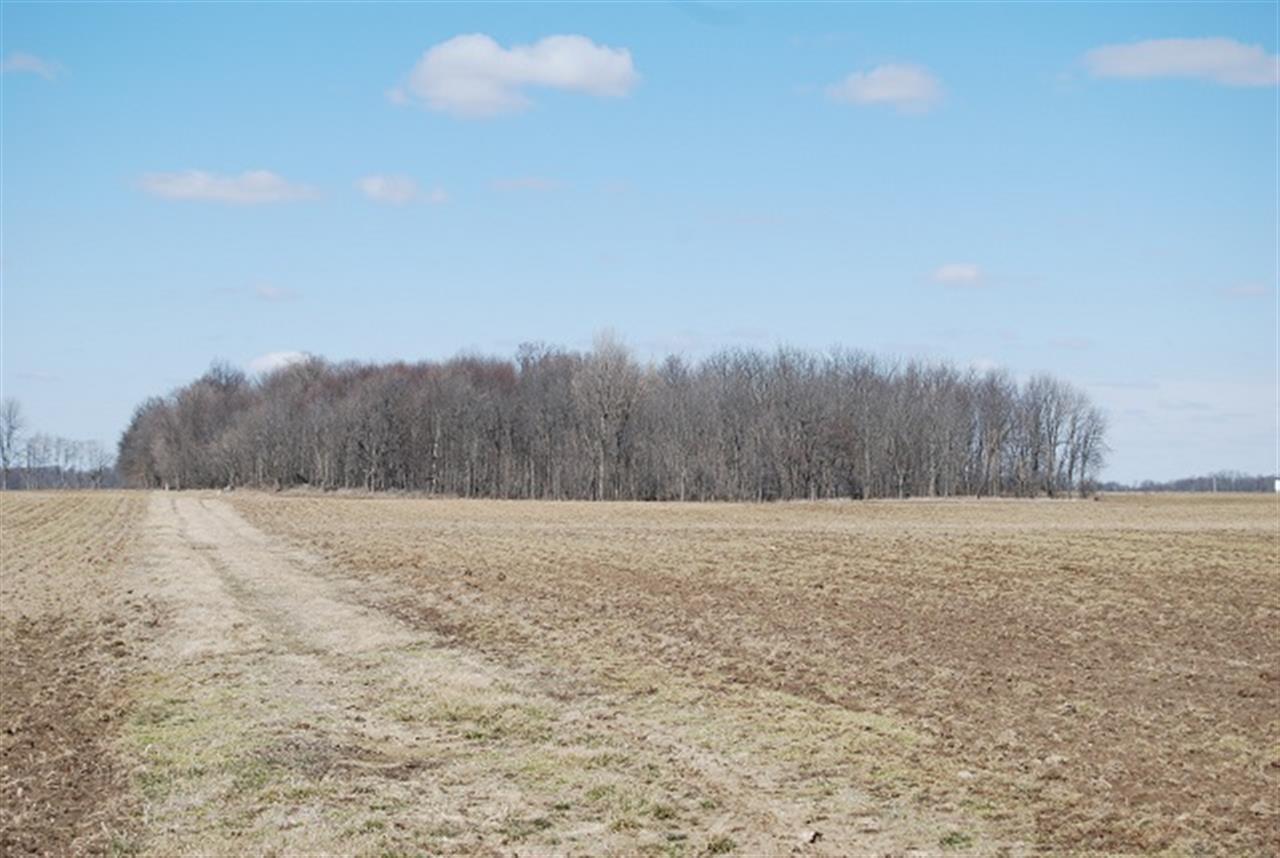 1189 W 700 S, Cutler, IN 46920 photo 10