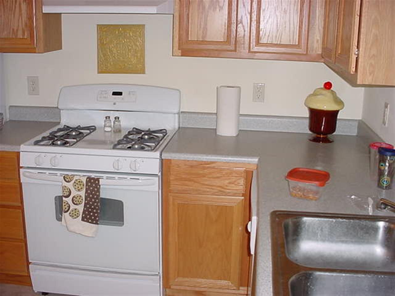 1005 Swan St, Bristol, IN 46507 photo 5