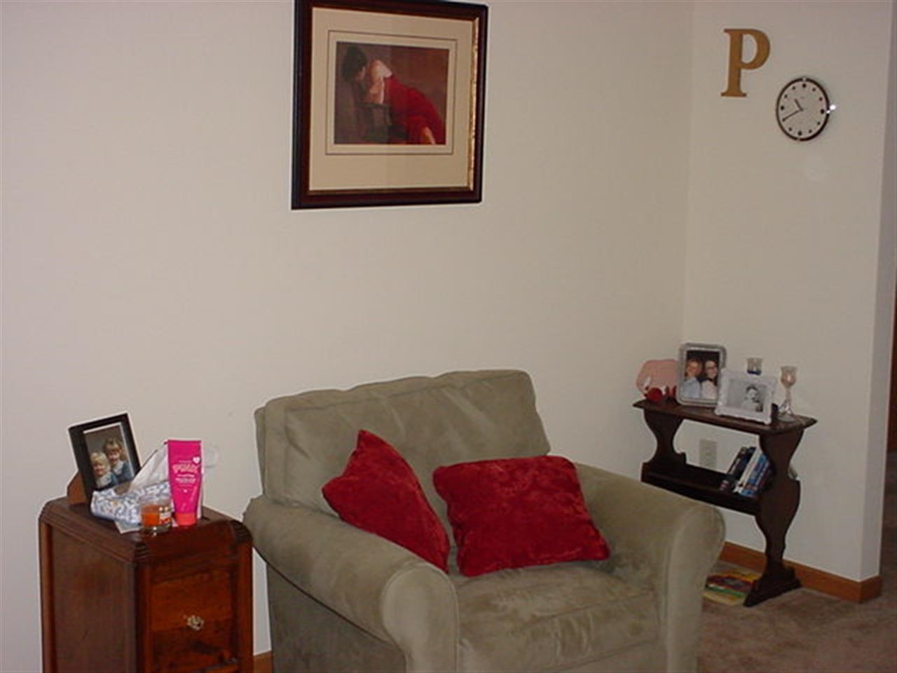 1005 Swan St, Bristol, IN 46507 photo 15