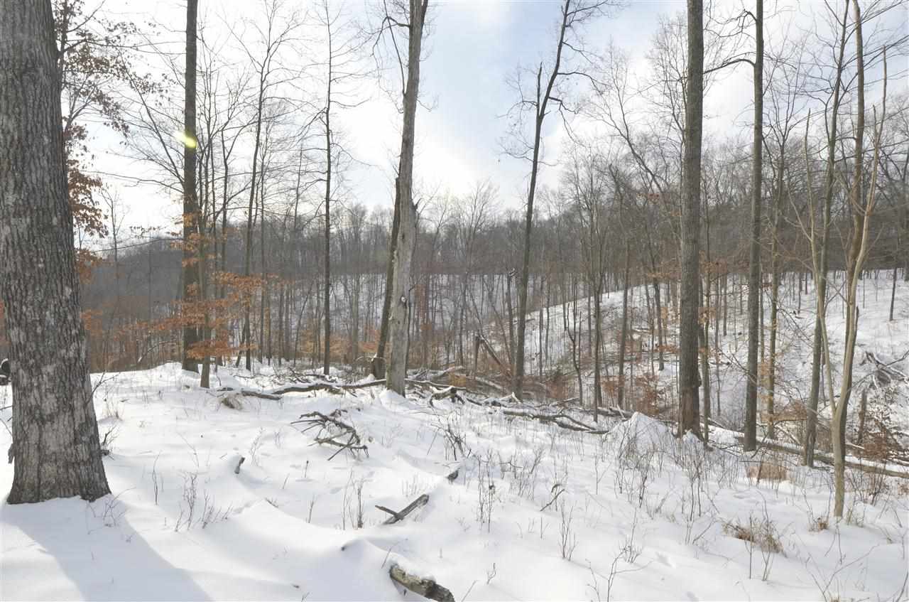 6072 E State Road 46, Bloomington, IN 47401 photo 24
