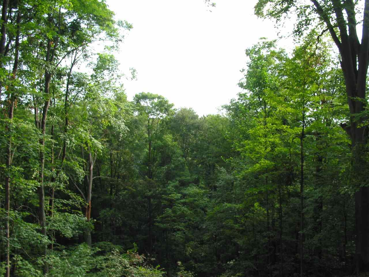 5495 E James Rd, Bloomington, IN 47408 photo 30