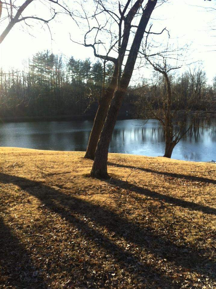2916 Bromm Rd, Evansville, IN 47720 photo 17