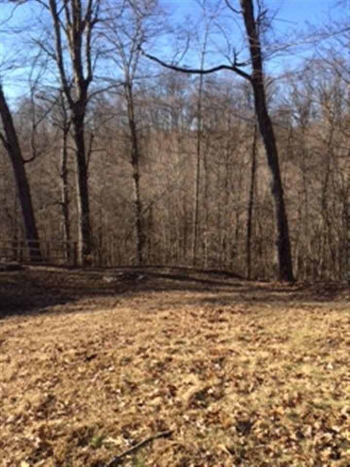 4019 E Ramp Creek Rd, Bloomington, IN 47401 photo 14