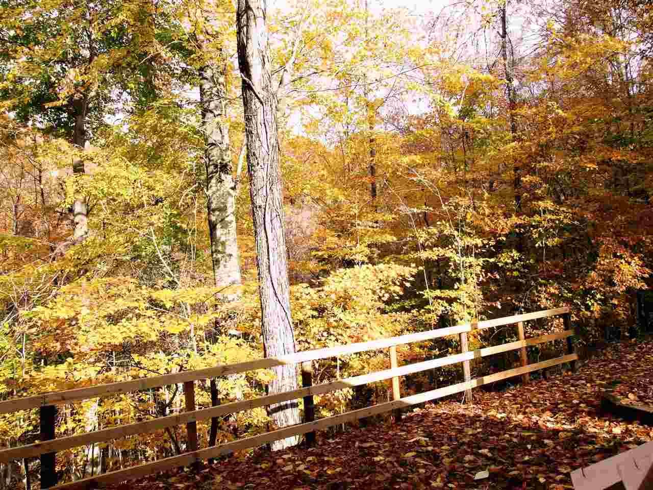 4019 E Ramp Creek Rd, Bloomington, IN 47401 photo 18
