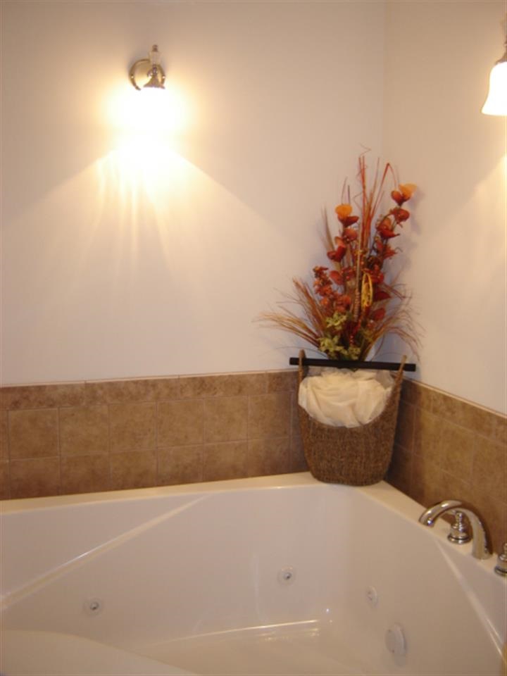 380 Lane 425 Jimmerson Lk, Fremont, IN 46737 photo 14