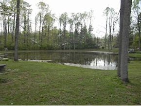 2560 Rocky Top Rd, Spencer, IN 47460 photo 11