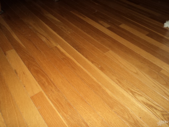 1010 Dunkelberg Rd, Fort Wayne, IN 46819 photo 28