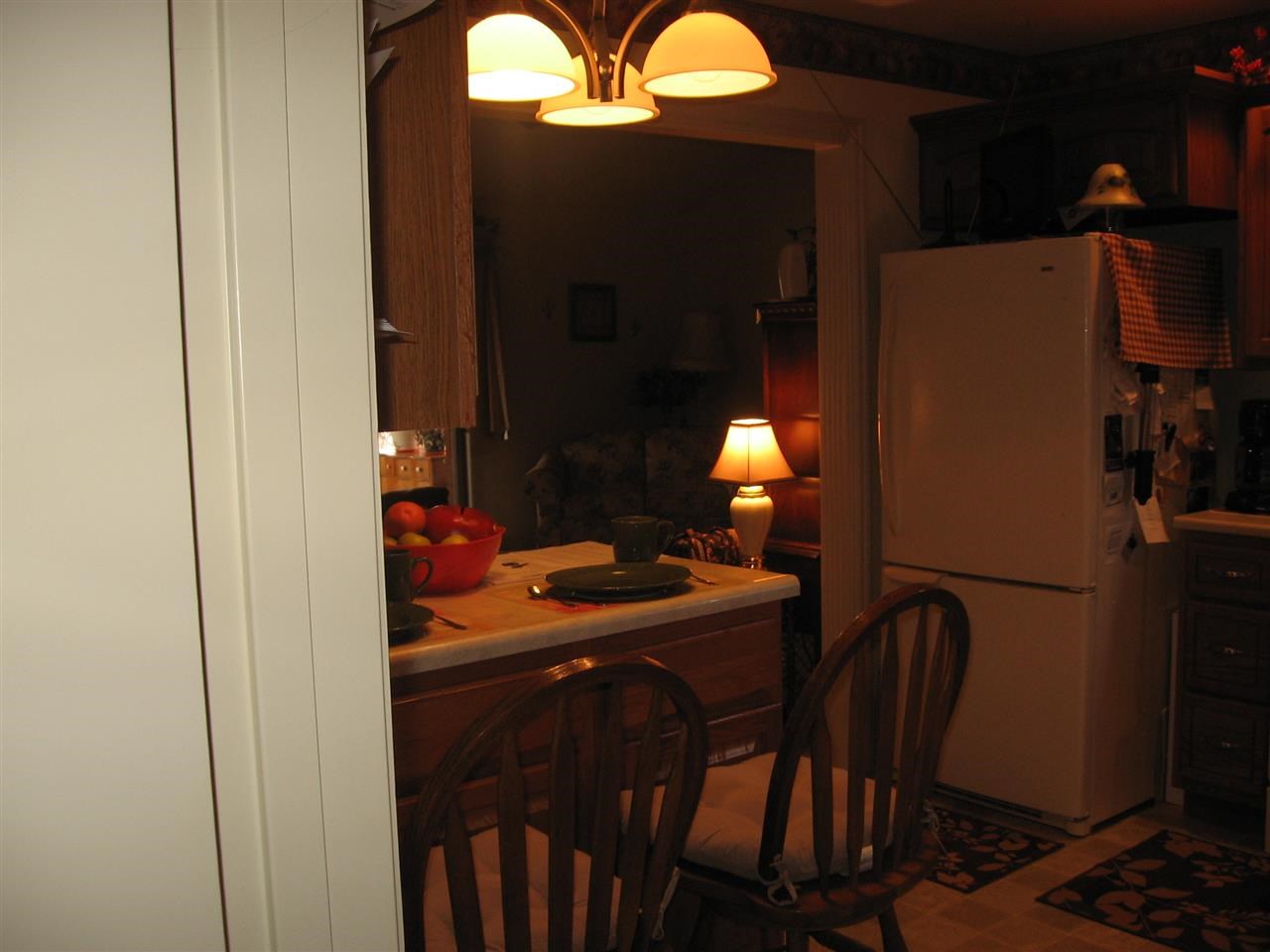 1110 Sycamore Ct, Auburn, IN 46706 photo 16