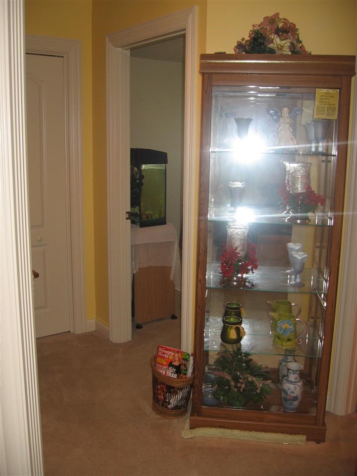 1110 Sycamore Ct, Auburn, IN 46706 photo 24