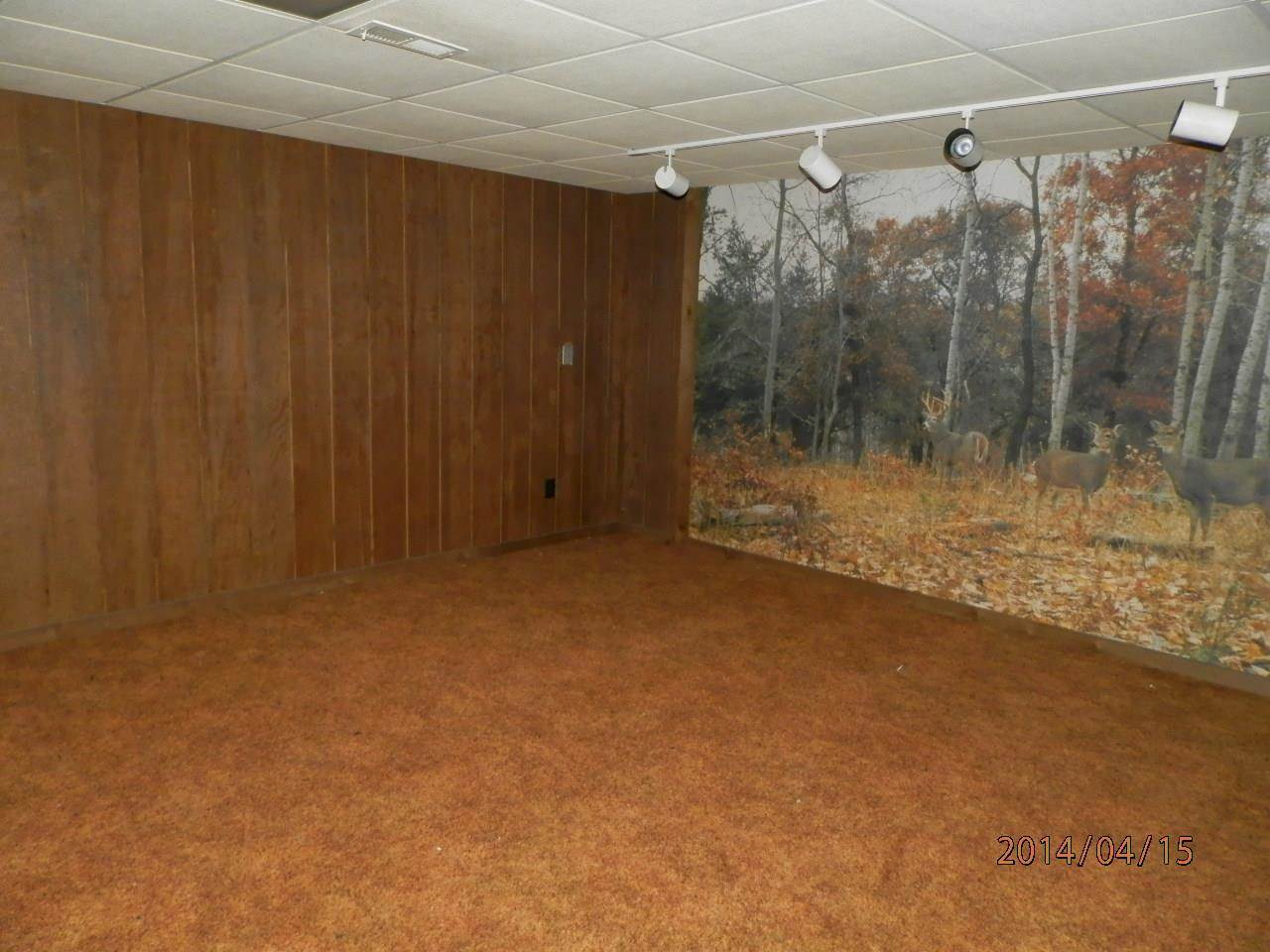 2769 E Kammerer Rd, Kendallville, IN 46755 photo 27