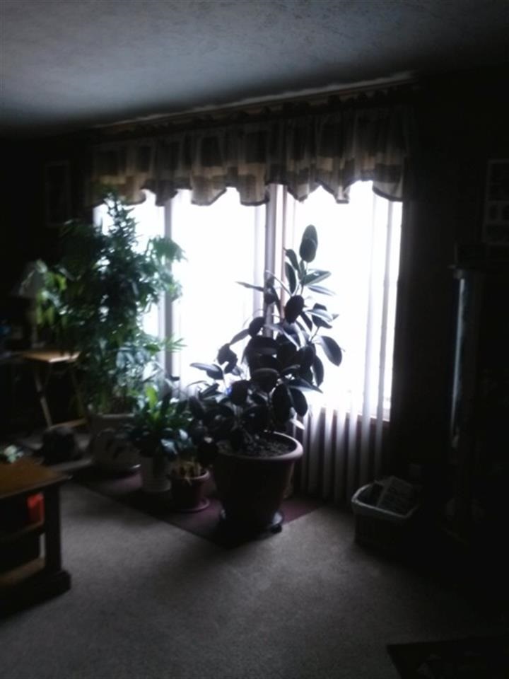 203 S County Road 75 E, Winslow, IN 47598 photo 11