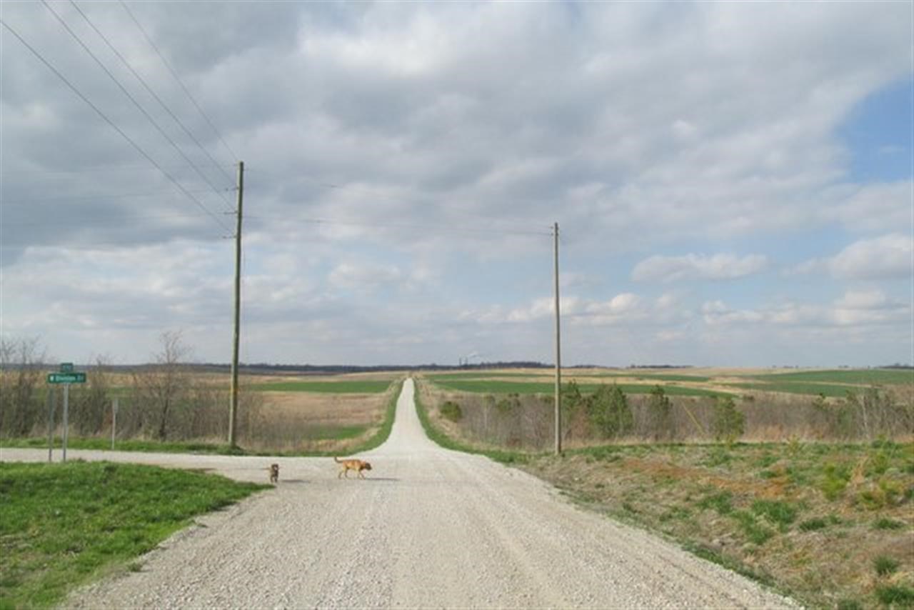 203 S County Road 75 E, Winslow, IN 47598 photo 6