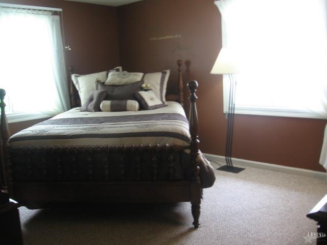 3674 E Palomino Dr, Columbia City, IN 46725 photo 22