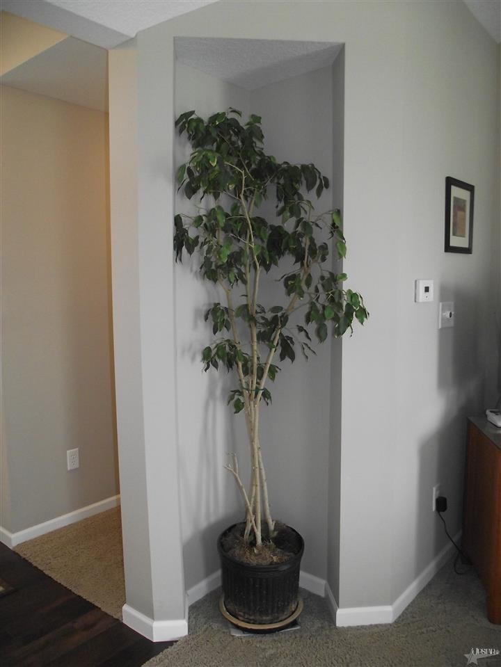 12209 Lanai Dr, Fort Wayne, IN 46818 photo 9