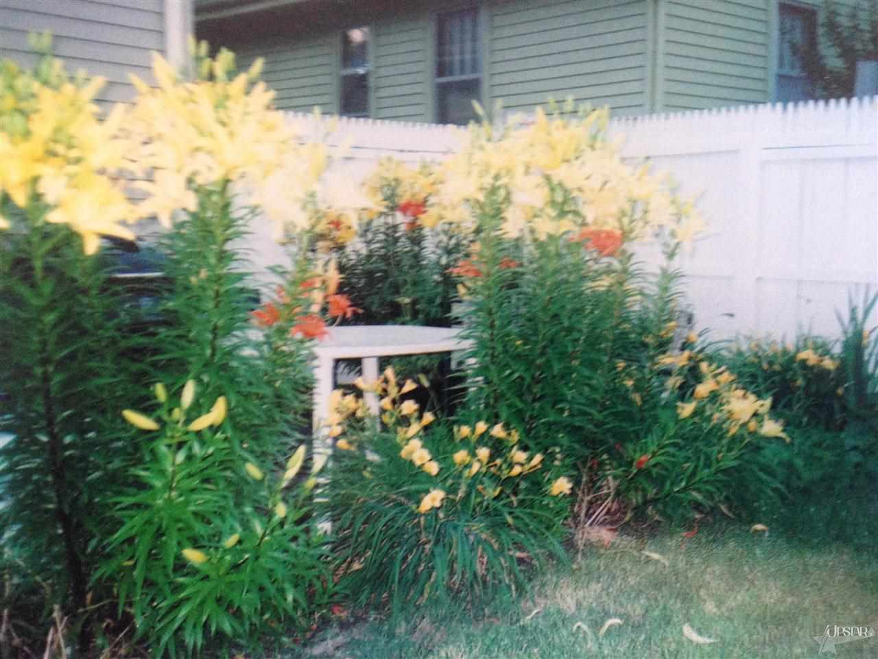 1328 Morton St, Fort Wayne, IN 46805 photo 17