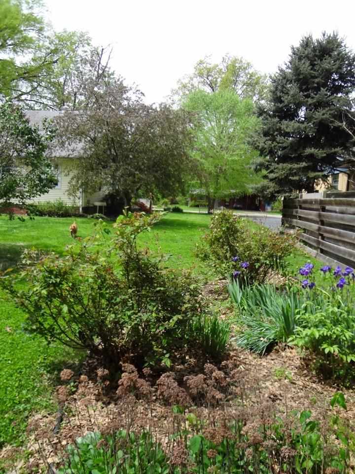 1108 S Lombard Ave, Evansville, IN 47714 photo 15