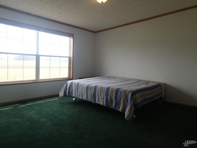 7913 S 1000 E, Hamilton, IN 46742 photo 13