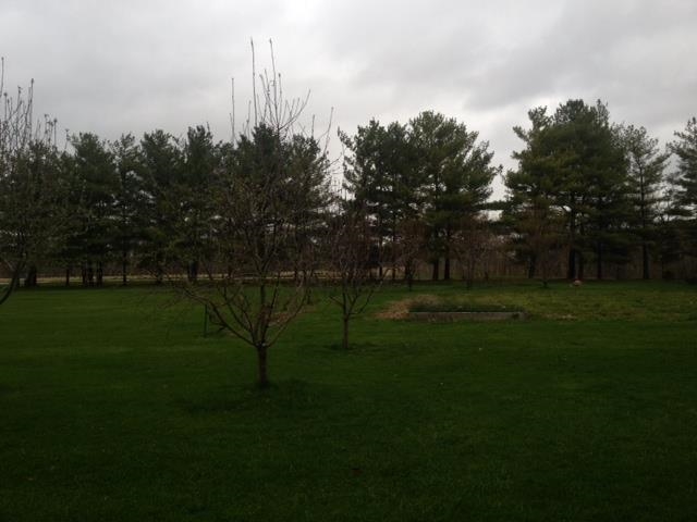 1736 County Road 66, Auburn, IN 46706 photo 4