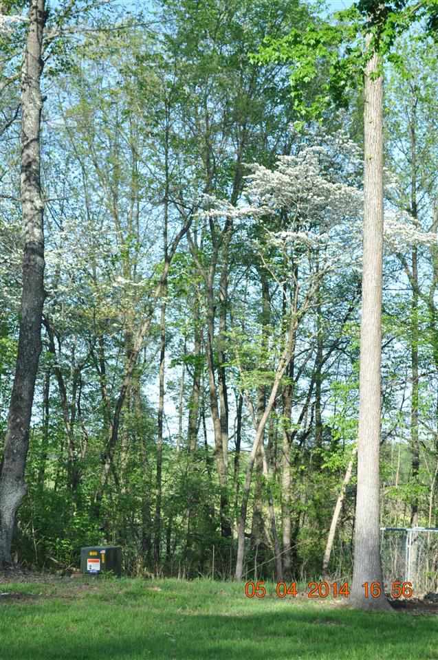 692 E Cr 1250 N, Chrisney, IN 47611 photo 25