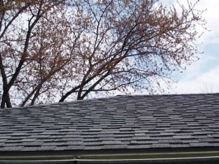 1065 E Centennial St, Nappanee, IN 46550 photo 5