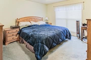11133 Beech Trl, Osceola, IN 46561 photo 21