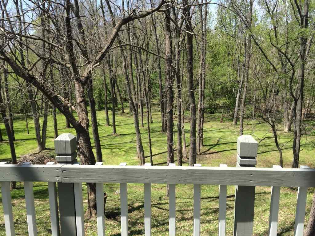 1301 Redbird Ct, Kokomo, IN 46902 photo 5
