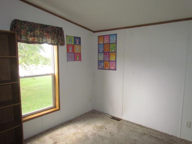6915 Midway Dr, Poseyville, IN 47633 photo 13