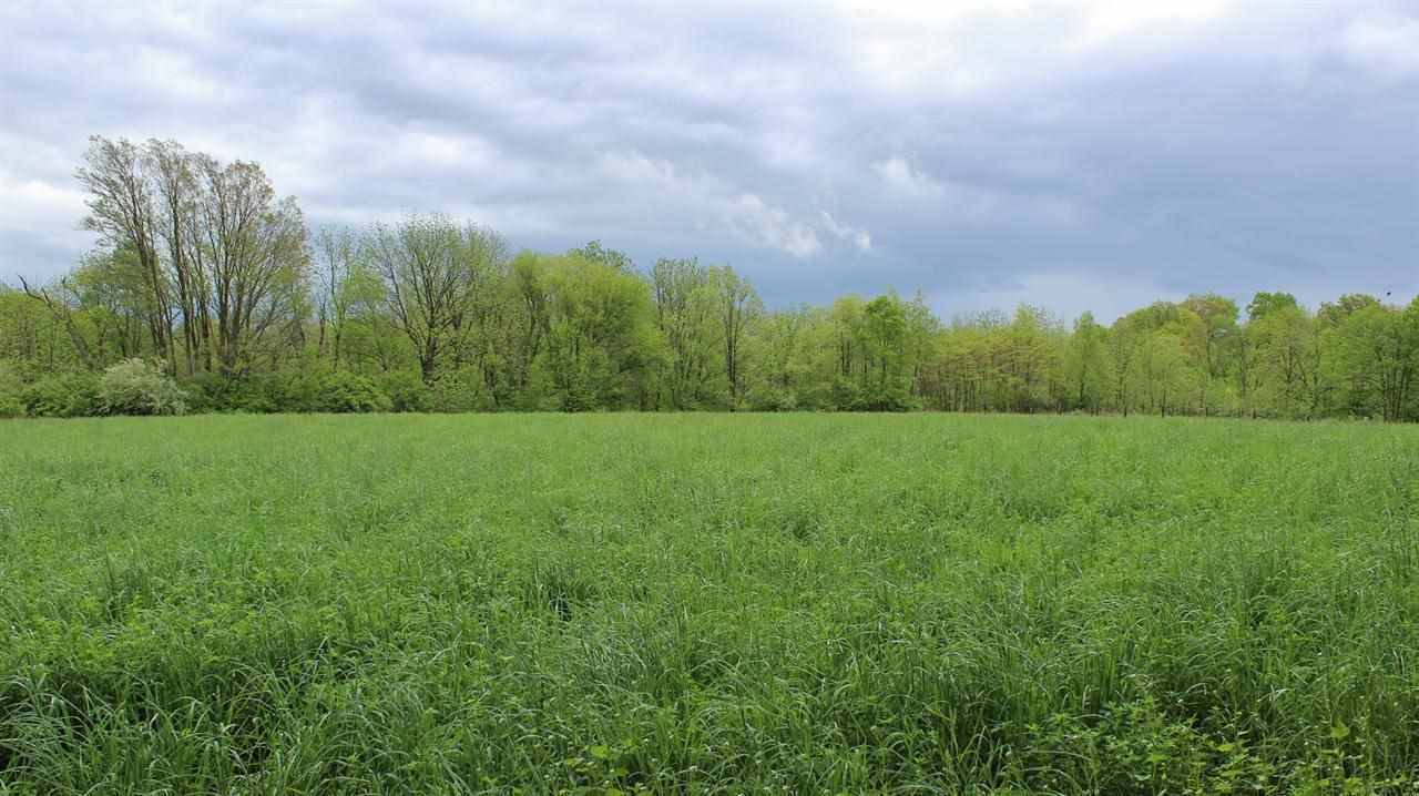 5063 N 1125 E, Otterbein, IN 47970 photo 25
