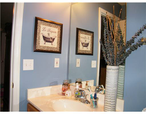 1201 Far Pond Cir, Mishawaka, IN 46544 photo 9