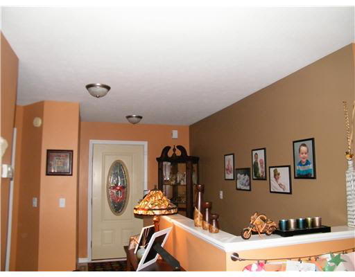 1201 Far Pond Cir, Mishawaka, IN 46544 photo 4