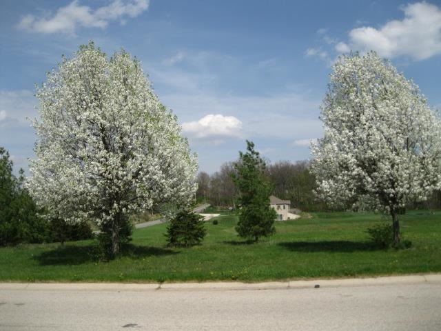 56044 Farmington Dr, Middlebury, IN 46540 photo 22