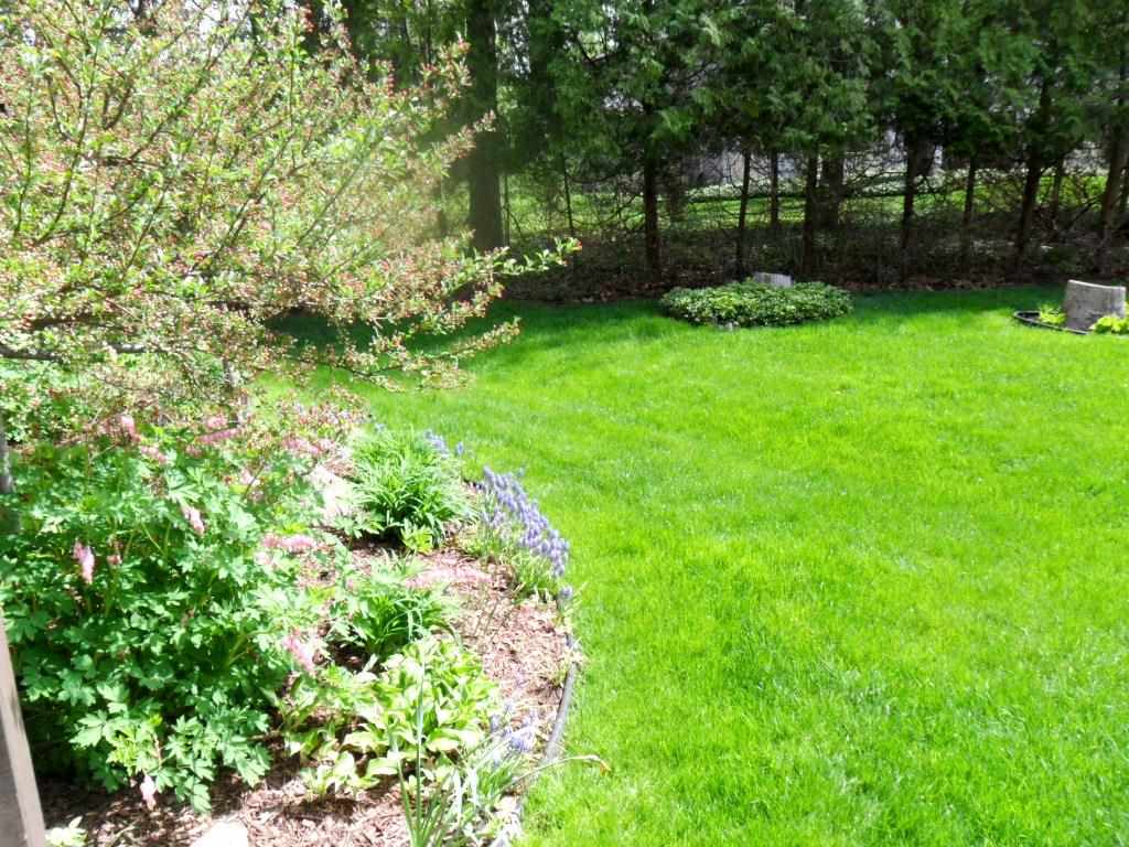 50509 Galaxy Dr, Granger, IN 46530 photo 26