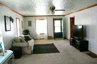 1007 Myrtle Ave, Frankfort, IN 46041 photo 7