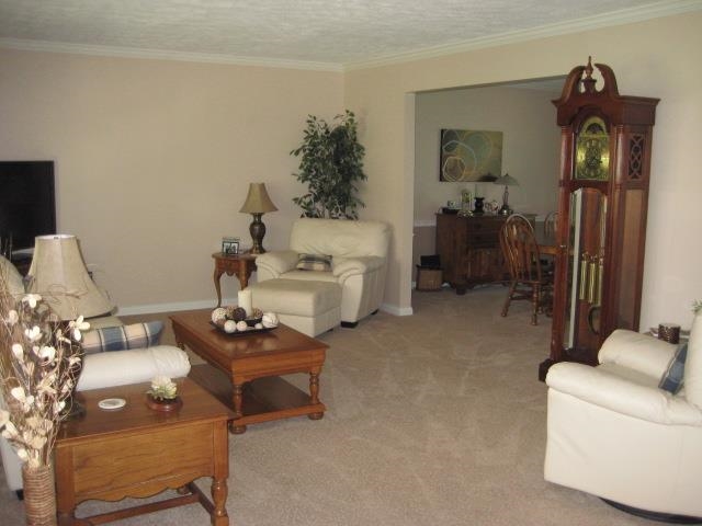 206 Breezy Ln, Kokomo, IN 46901 photo 3