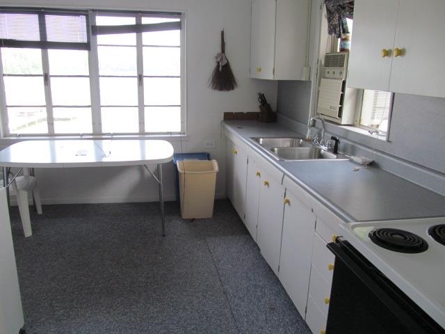 55 Lane 560b Lake James, Fremont, IN 46737 photo 7