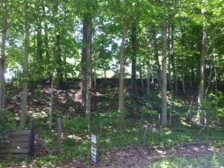 3584 N Hamilton Rd, Mulberry, IN 46058 photo 25