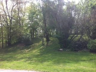3584 N Hamilton Rd, Mulberry, IN 46058 photo 26