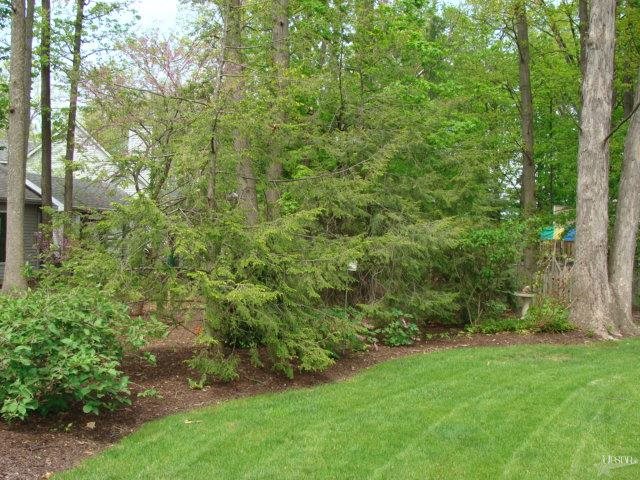 4828 Holly Oak Rd, Fort Wayne, IN 46845 photo 6