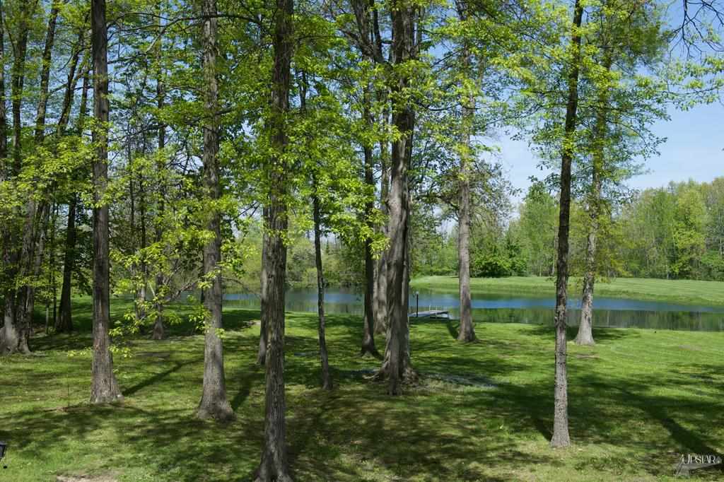 11222 Hickory Tree Rd, Fort Wayne, IN 46845 photo 26