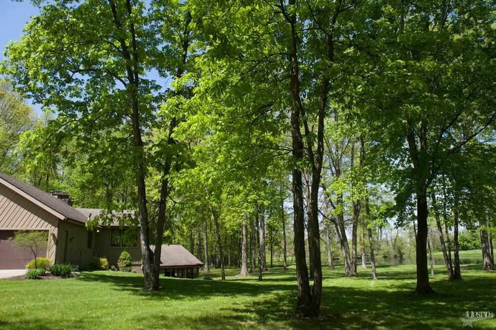 11222 Hickory Tree Rd, Fort Wayne, IN 46845 photo 27