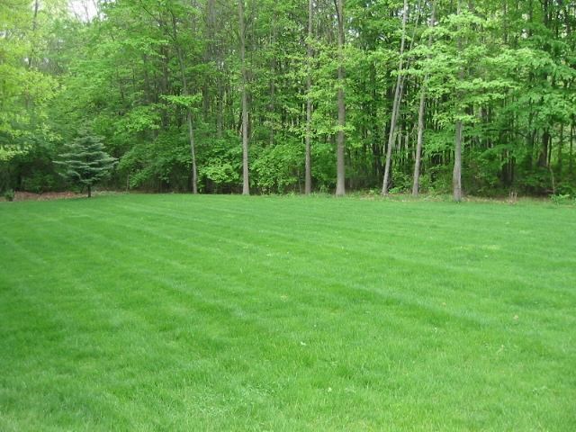13703 Shavano Peak Dr, Middlebury, IN 46540 photo 27